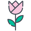 rosa icon