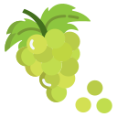 uvas icon