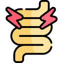 intestino icon