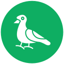 gaviota icon