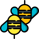 abejas