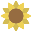 girasol