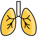 pulmones