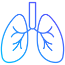 pulmones icon