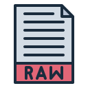 archivo raw icon