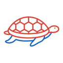 tortuga icon