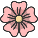 flor de cerezo 