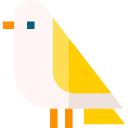 pájaro icon