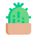 cactus icon