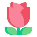 rosa icon