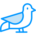 pájaro icon