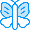 mariposa icon