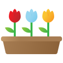 flores icon