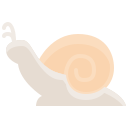 caracol