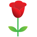 rosa icon