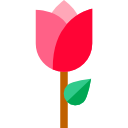 rosa icon