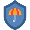 seguro icon
