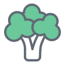 Broccoli icon