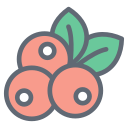 Blueberry icon