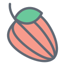Carambola icon