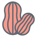 Groundnut icon
