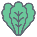 lechuga icon