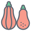 calabaza moscada 