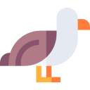 gaviota icon