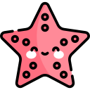 estrella de mar 