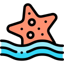 estrella de mar icon