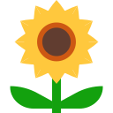 girasol icon