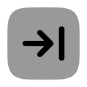 flecha correcta icon