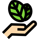 naturaleza icon