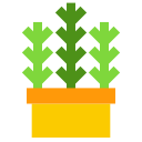 naturaleza icon