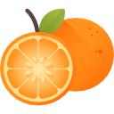 laranja icon
