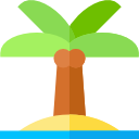 palmera icon