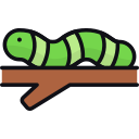 oruga icon