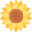 girasol icon