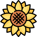 girasol