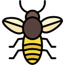 abeja icon