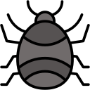 pizca icon