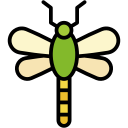 mosca dragón icon