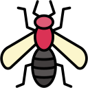 avispa icon