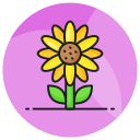 girasol icon