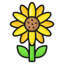 girasol icon