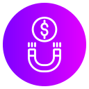 imán de dinero icon