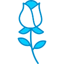 rosa icon