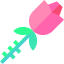 rosa icon