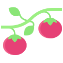 tomate icon