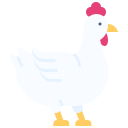 gallina icon